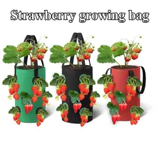 

12 Hole Multi-Mouth Container Bags Hanging Strawberry Planting Growing Bag Grow Planter Root Bonsai Plant Garden Supplies