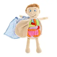 Human Body Anatomy Toy Removable Organs Toy Soft Doll Kids Anatomy Toys Early Education Toys for School Preschool 2