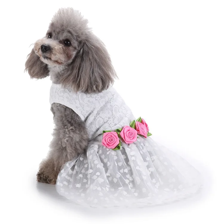 Сезон весна-лето; модная юбка в горошек с бантом на свадьбу для домашних животных; разные цвета; XS-L одежда для домашних животных