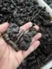 Rare Carbonado Black Diamond  Specimen 4