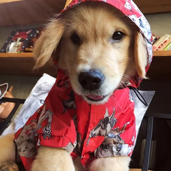 

Dog hoodies for Small Dogs Windbreaker for Chihuahua French Bulldog Pet jacket for Puppy Cat Costume