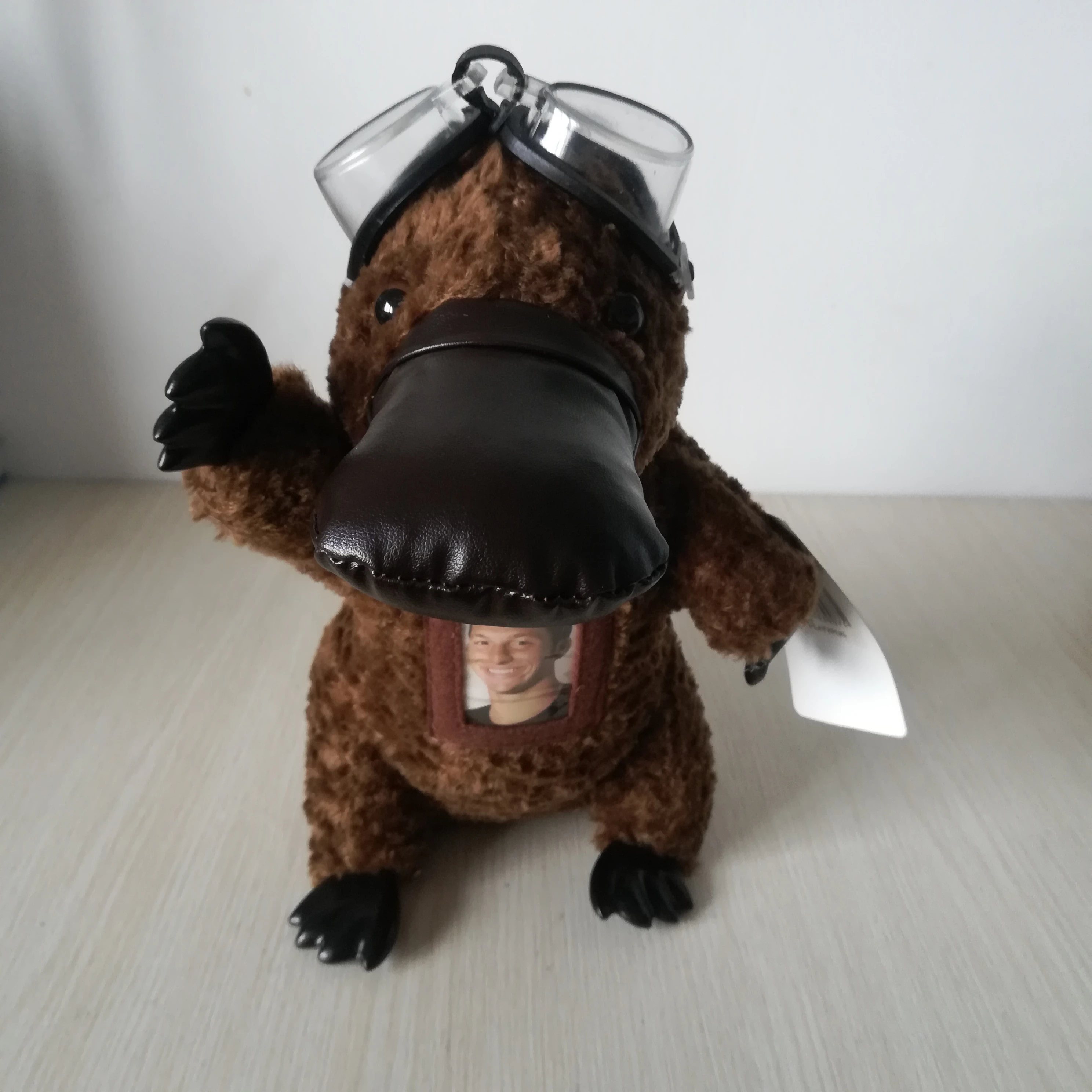 かわいいカモノハシ 26 センチメートルぬいぐるみメガネカモノハシ人形の誕生日プレゼント H0991 Plush Toys Doll Gifttoys Gift Aliexpress