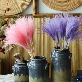 

15Pcs/Bunch 3 Colors Natural Dried Small Pampas Wedding Home Decor Reed Grass Dried Natural Phragmites Bouquets Flowers