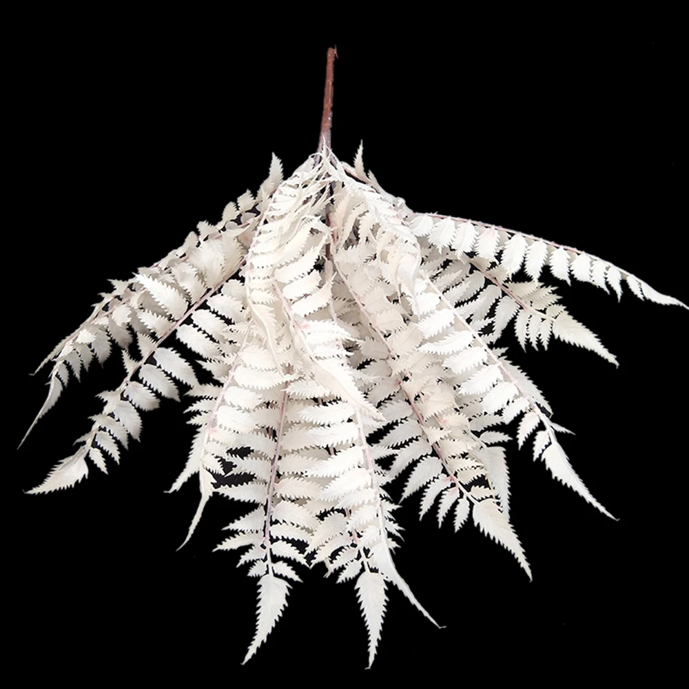 YYPA0058-1-YYPA0058-5-C4