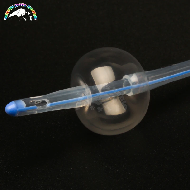 Two-way Foley Canine Urinary Catheter veterinary urinary catheter Balloon 2 Way Foley Dog Catheters Silicone Urine Catheters Veterinary Instrument
