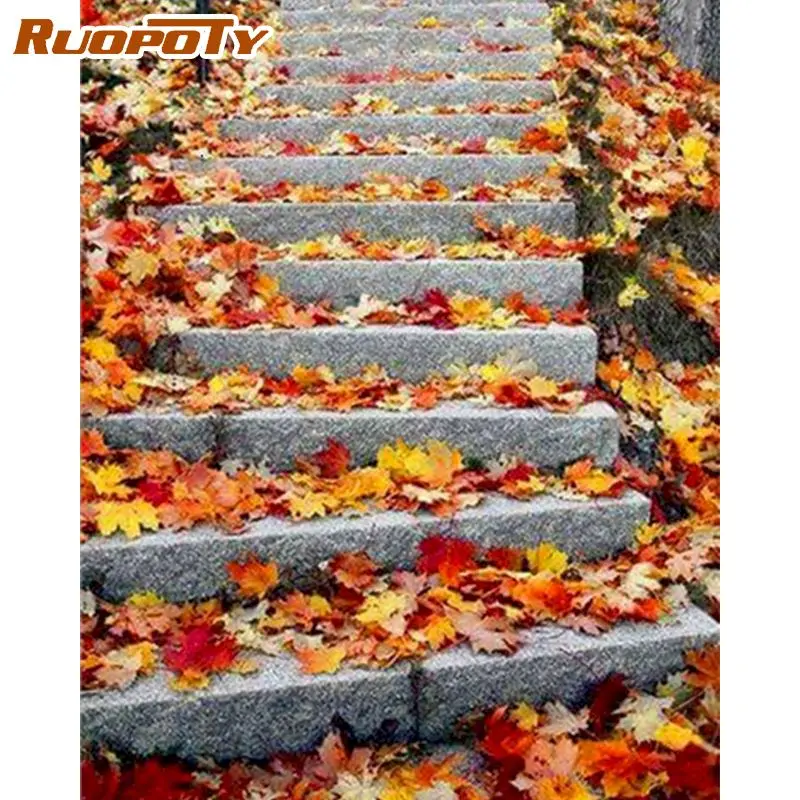 5603枫叶阶梯封面图