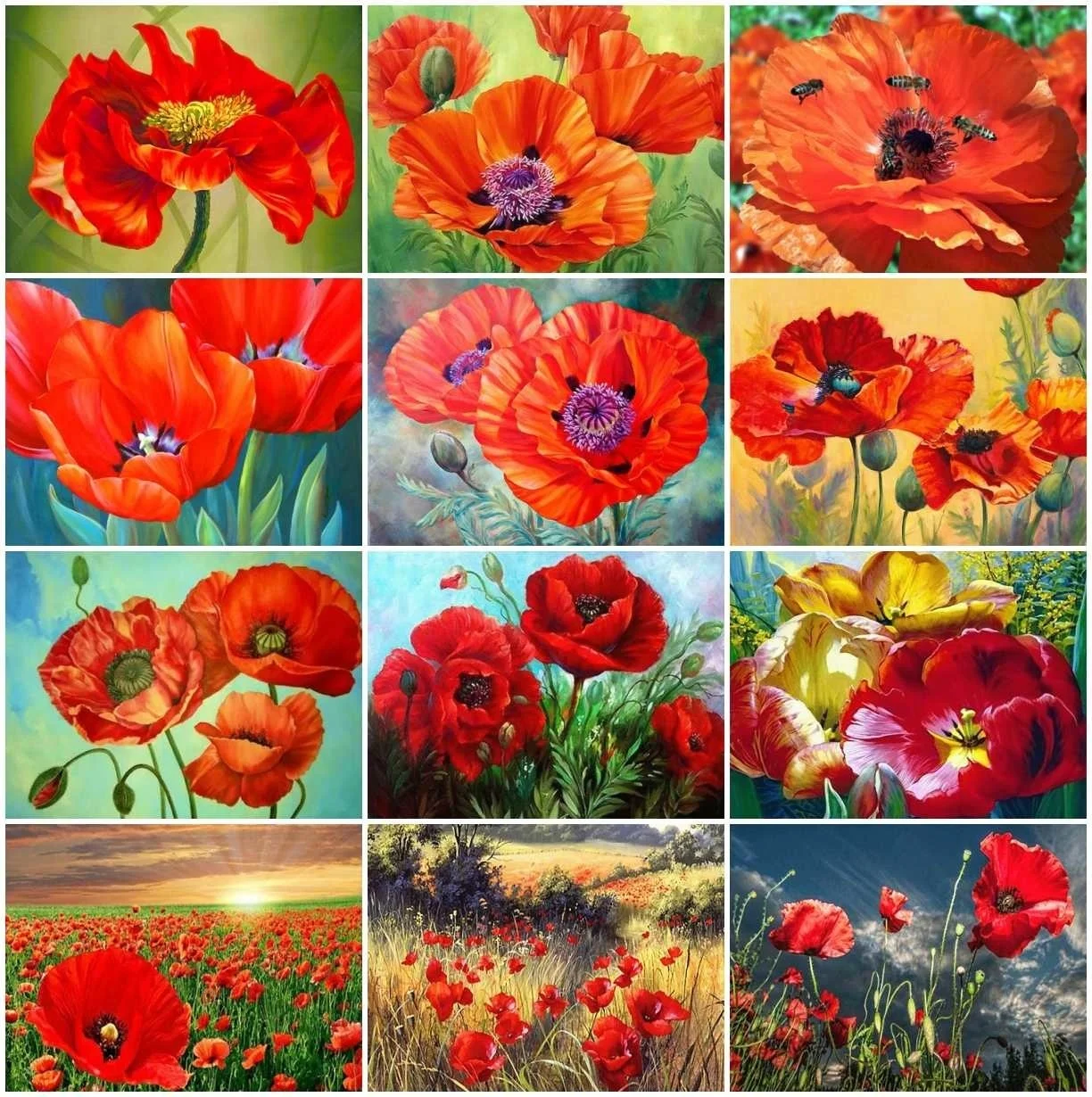 13 (5).jpg_.webp 13 (5).jpg_.webp