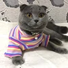 Colorful Stripe Sphynx Cat Vest Shirt for Small Cats Katten Kedi Cotton Puppy Dog Pet Clothes mascotas Clothing ropa para gatos 5
