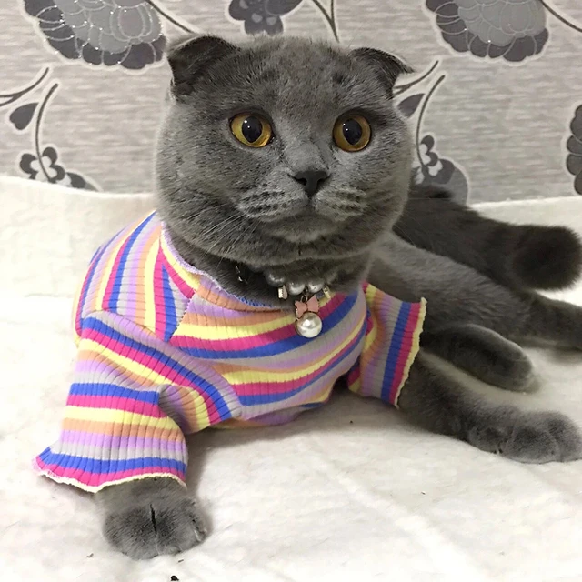 Colorful Stripe Sphynx Cat Vest Shirt for Small Cats Katten Kedi Cotton Puppy Dog Pet Clothes mascotas Clothing ropa para gatos 5