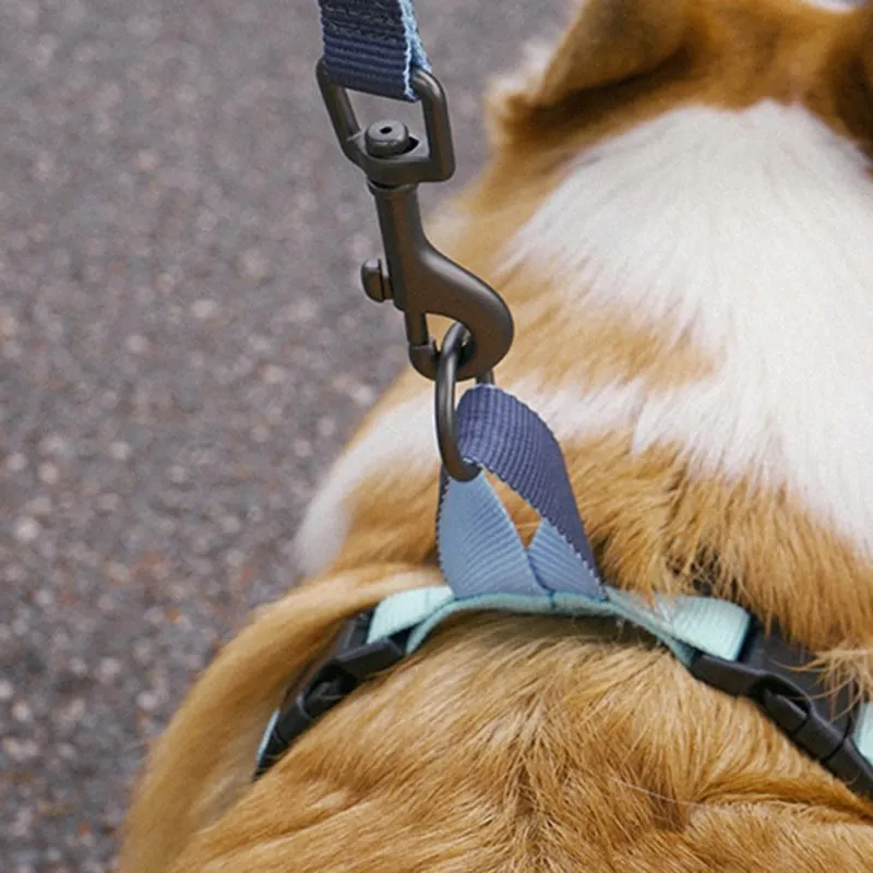Pet Регулируемый полиэстер жилет Собака светоотражающий безопасный нагрудный