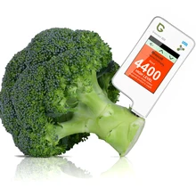 Greentest 3F считывающий цифровой пищевой нитратный тестер для фруктов, овощей, мяса, рыбы, инструмент для обнаружения нитрата, устройство для тестирования жесткости воды