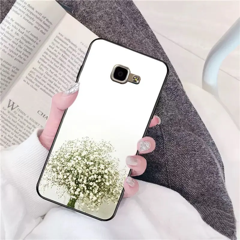 Beautiful flower Gypsophila