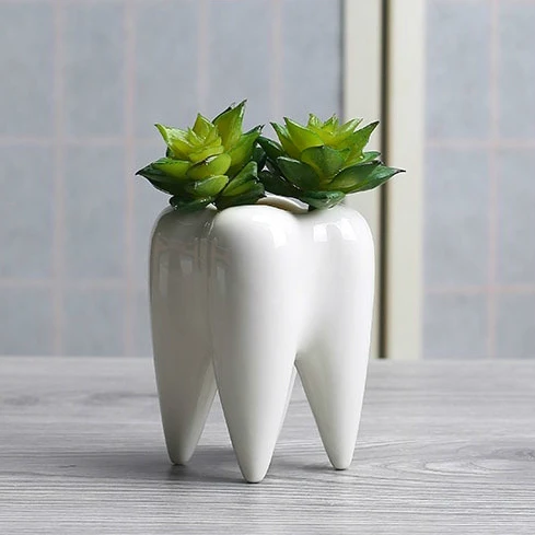 

Tooth Shape Flower Pot Ceramic Art Vase Desktop Bonsai Gardening Potted Succulent Plant Pot Home Office Decor Garden Supplies