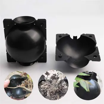 

Plant Seed Rooting Ball Root System Package Grafting Root Growth Breeding Box Plant Root System Hydroponics Garden Supplies U3