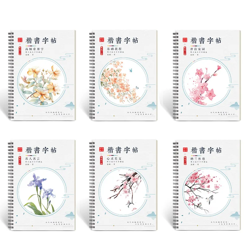 6Pcs/Sets 3D Chinese Characters Reusable Groove Calligraphy Copybook Learn hanzi Adults Art writing Practice Books Libros