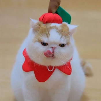 

Pet Collar Cute Creative Fruit Design Pet Bib Banana Apple Lemon Cat Costume Collar with Pet Hat for Cat Kitten