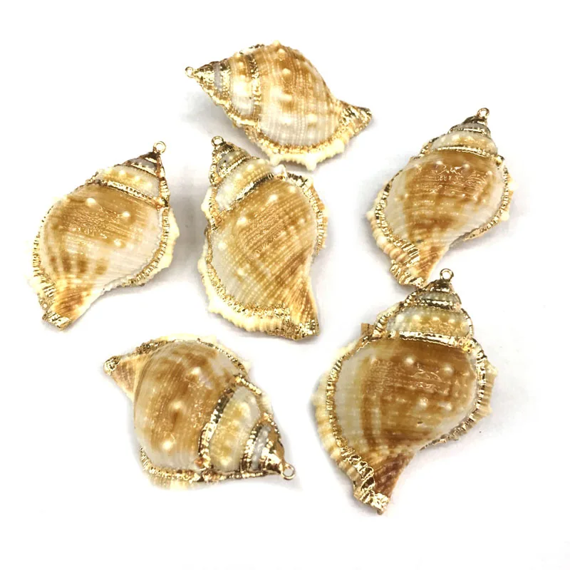 

Natural shell fashion Conch Pendants Exquisite Charms for Jewelry Making DIY Bracelet Necklaces earring Accessories Size 35x55mm