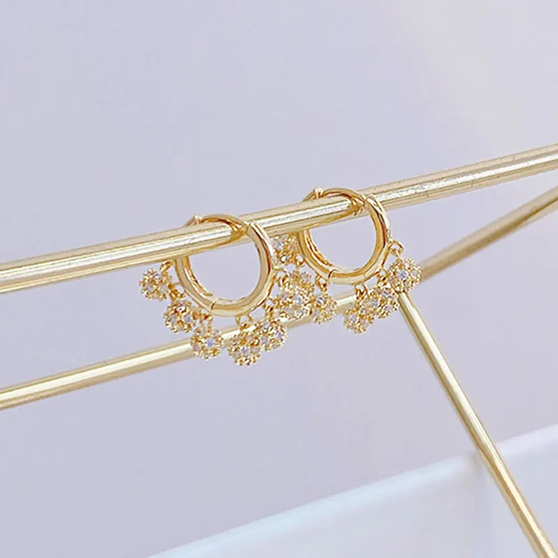 Ins Hot Shine Cz AAA Zircon Exquisite Earrings Temperament Circle Earring Pop Exquisite Luxury Jewelry Simple Classic Earrings - Image 5