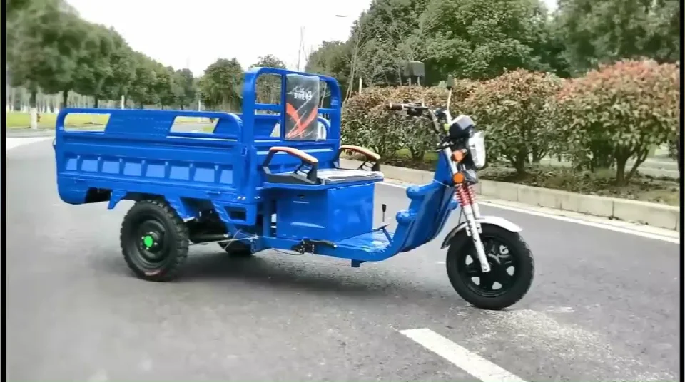 Продвижение продаж 3 колеса Adualt Электрический Грузовой тук самосвал bajaj велосипед Электрический трехколесный грузовой велосипед Индия для работы на ферме