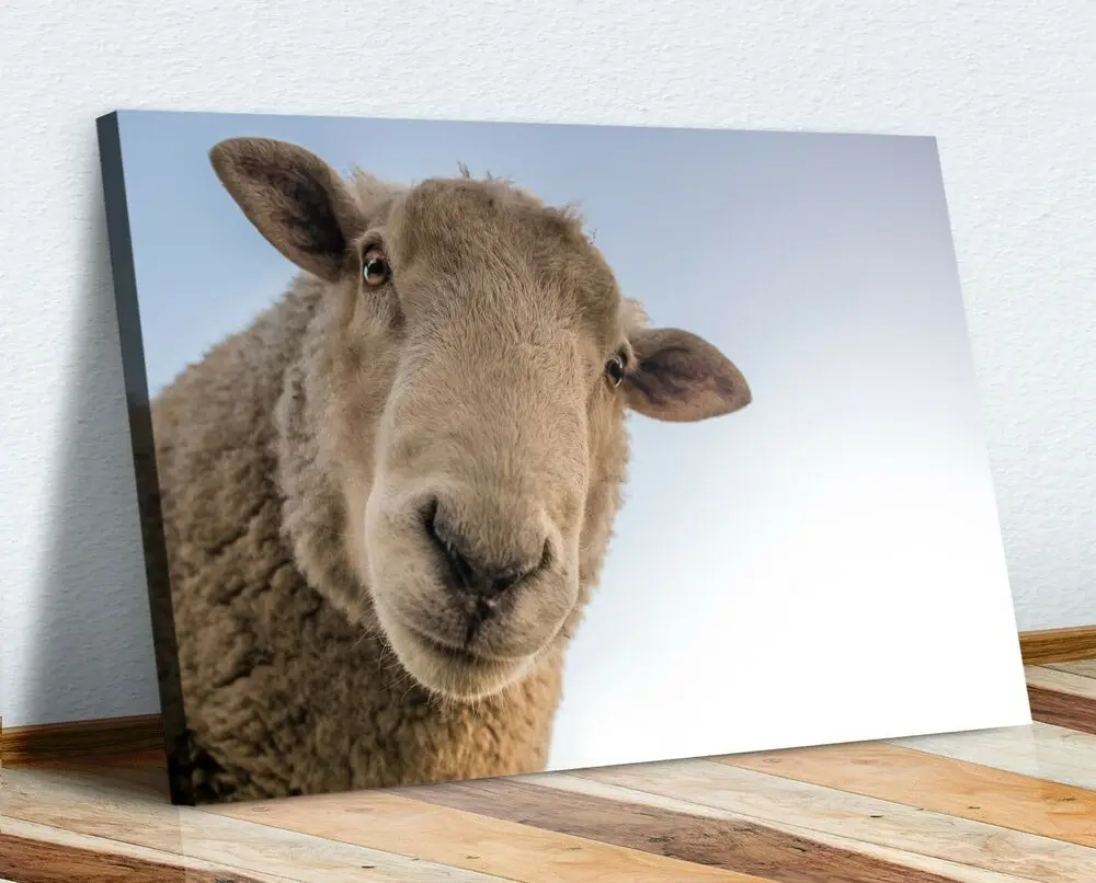 canvas Wall Art Print Artwork 30mm Deep Frame Curious Sheep Picture Modern Abstract Decor Canvas Painting | Дом и сад
