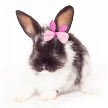 Товары для домашних животных, Кролик, украшение одежды, Голландская свинка, морская свинка, принцесса, кролик, ухо, кролик, бант, головка, цветочное украшение Товары для домашних животных, Кролик, украшение одежды, Голландская свинка, морская свинка, принцесса, кролик, ухо, кролик, бант, головка, цветочное украшение