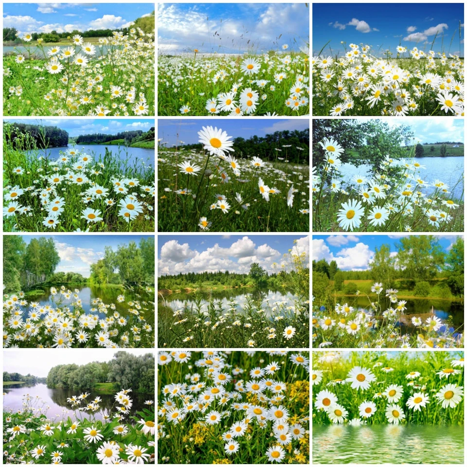 

AZQSD Diamond Painting Daisy Scenery Cross Stitch Gift Diamond Embroidery Nature Mosaic Picture Of Rhinestones Home Decor