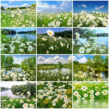 

AZQSD Diamond Painting Daisy Scenery Cross Stitch Gift Diamond Embroidery Nature Mosaic Picture Of Rhinestones Home Decor