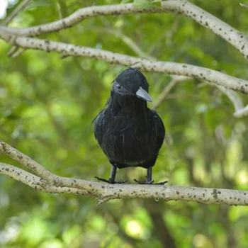 

Artificial Artificial Crow Decoration Feathered Raven Decoration Props