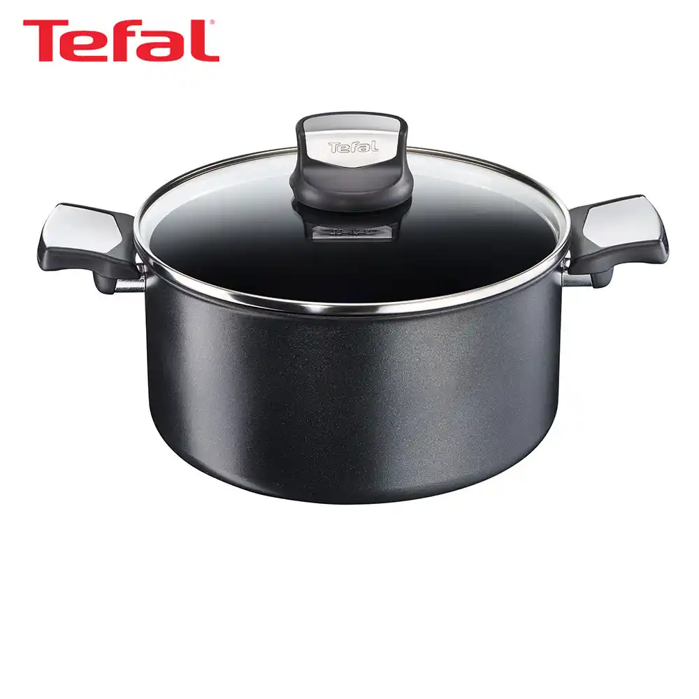 tefal casserole with lid