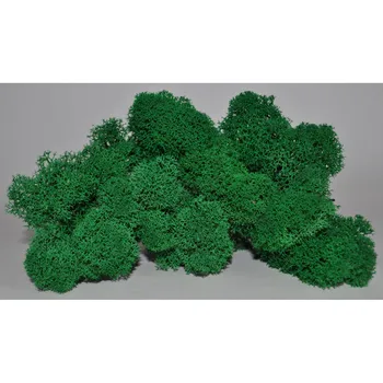 

Stabilized Moss (reindeer moss) natural Norwegian Wood 20gr/pack