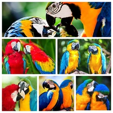 GATYZTORY 5D алмазная живопись полный квадрат DIY домашний декор мозаика Стразы Картина на холсте с логотипом на холсте стены попугаи пары