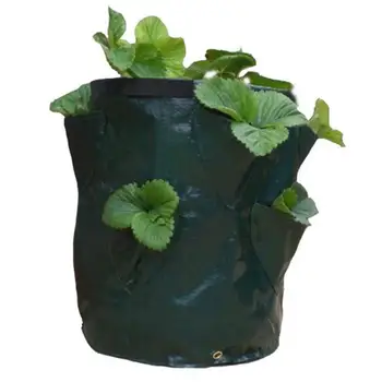 

Strawberry Grow Planter Bags Planting Garden Garden Bag Wall Hanging Wall Outdoor Seedling Greening Plant Vertical Herbs