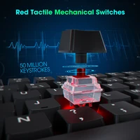 Computer Peripherals