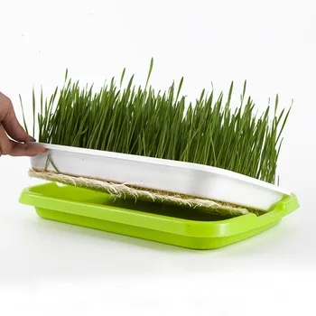

1 Set Seed Sprouting Set Soil-Free Sprouter Tray with Lid Hydroponics Germination Tray for Wheatgrass Soybean Mung
