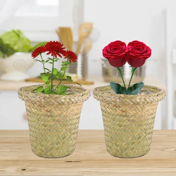 

2pcs Flower Pots Decorative Woven Wicker Succulents Pot Flower Pot for Office