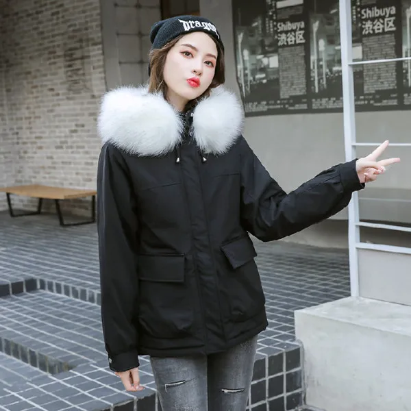 

Photo Shoot 2019 Winter New Style down Jacket Cotton-padded Clothes Women's Korean-style Short Loose Thick Large Fur Collar Hood