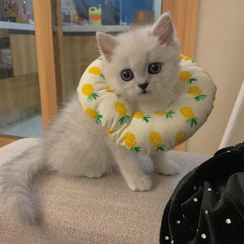

Pet Cats Collar Cotton Elizabeth Protective Recovery Inflatable For Prevent Licking Wound Comfortable And Breathable