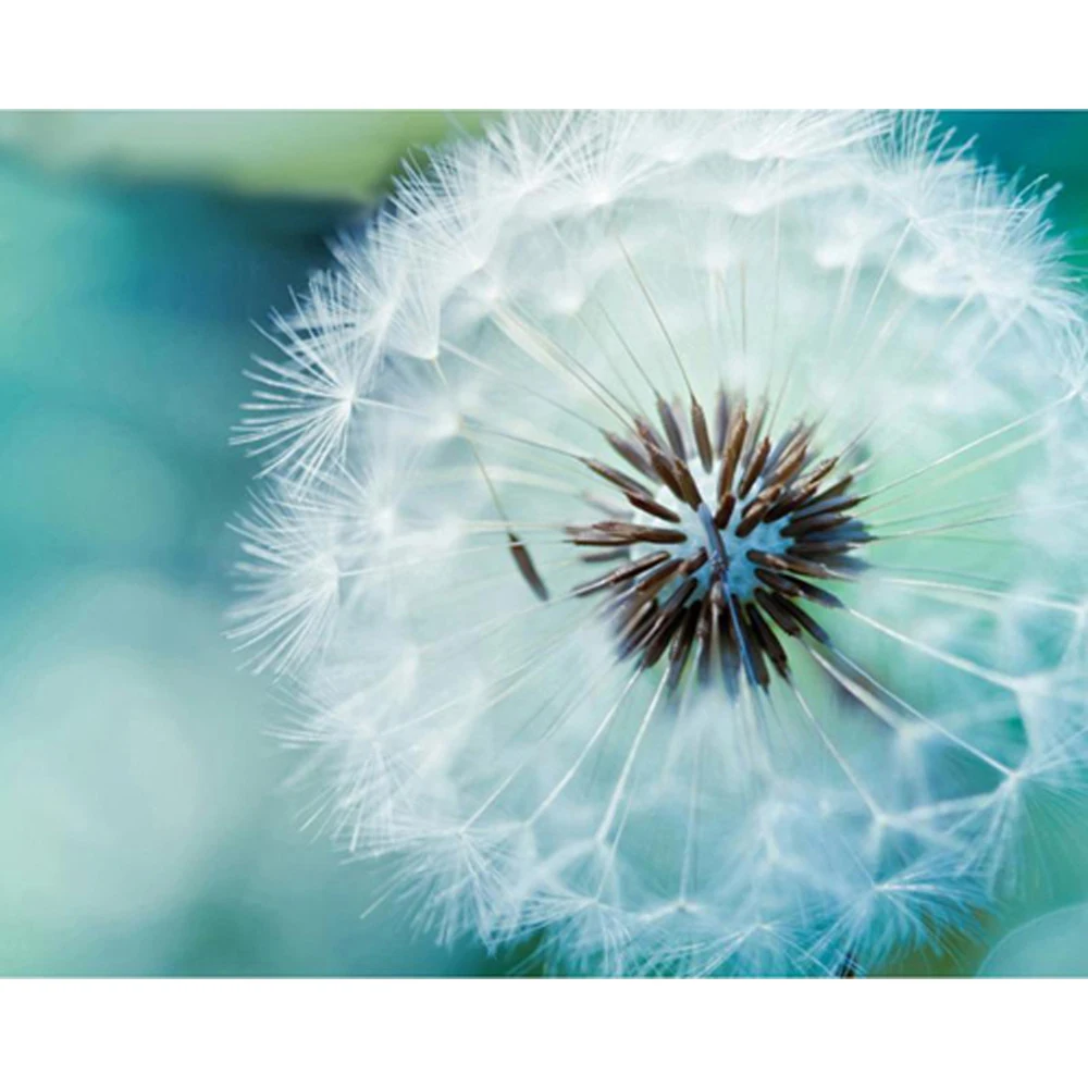 

DIY Diamond Painting Dandelion Full Drill Round Diamond Embroidery Picture Rhinestone Diamond Mosaic Cartoon Home Decor