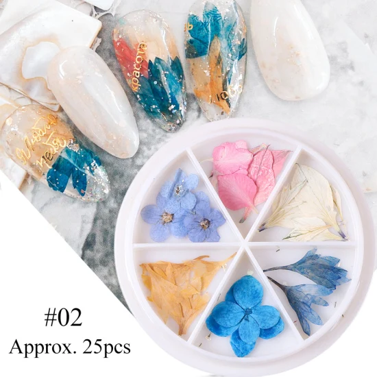 24 вида, настоящие 3D сухие цветы, украшения для ногтей, летние модные акриловые натуральные Цветочные наклейки для самостоятельного дизайна ногтей TR1559 - Цвет: 02