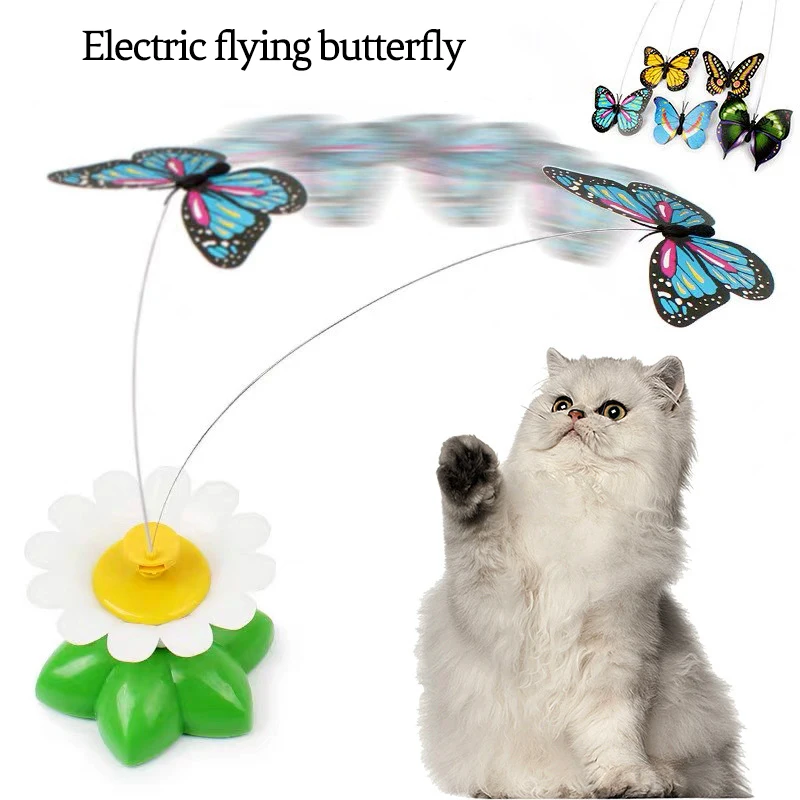 interactive butterfly cat toy
