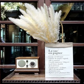 

30pcs White Pampas Grass Decorative Dried Plants Dried Natural Flowers Bulrush Wedding Flower Bunch Natural Phragmites Communis