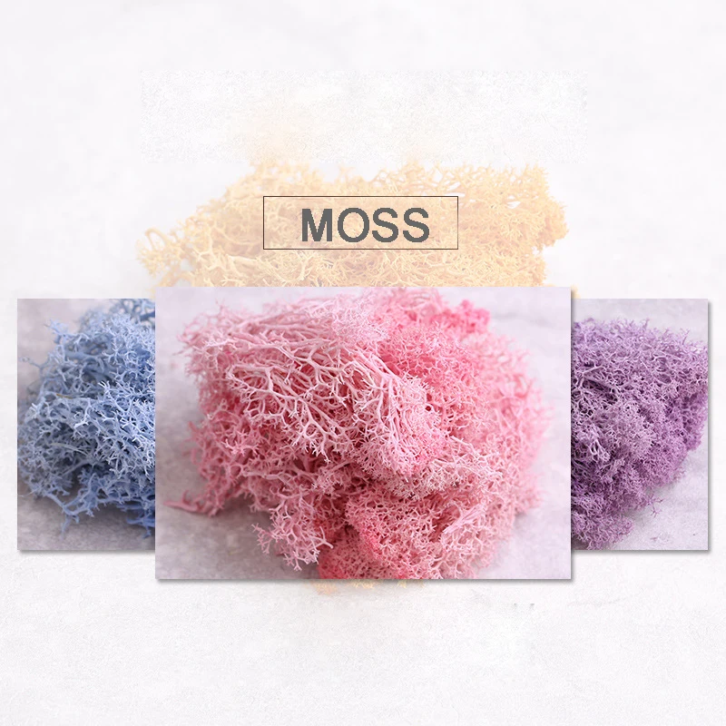 

10g/lot Decorative Sphagnum Mosses Dry Natural Fresh Moss,Real Eternal Dried Grass,DIY Decorative Preserved Flowers Accessories