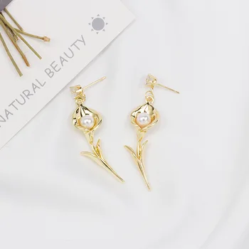 

2020 New Arrival Aretes States Bouquets Of Roses Pearl Earrings Cross-border Exaggerated Personality Alloy Flower Diamond Stud
