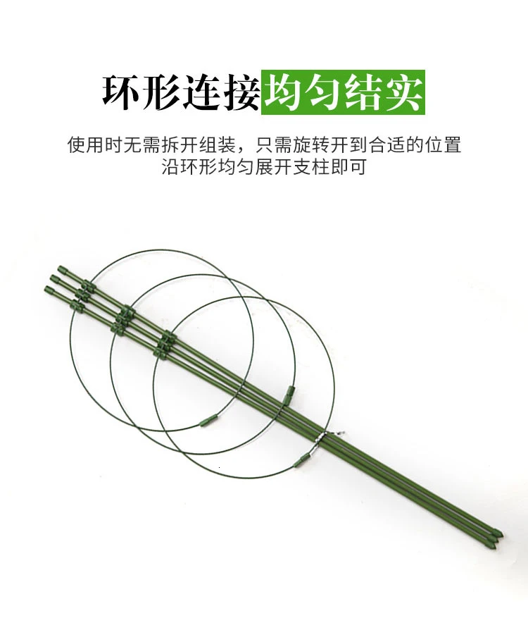 Gardening Bracket Botany Rack Climb Iron Art Pillar Room Domestic Clematis Lotus Grape Flower Rack