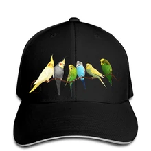 Мужская бейсбольная кепка, мужская бейсбольная кепка, бейсболка, бейсболка