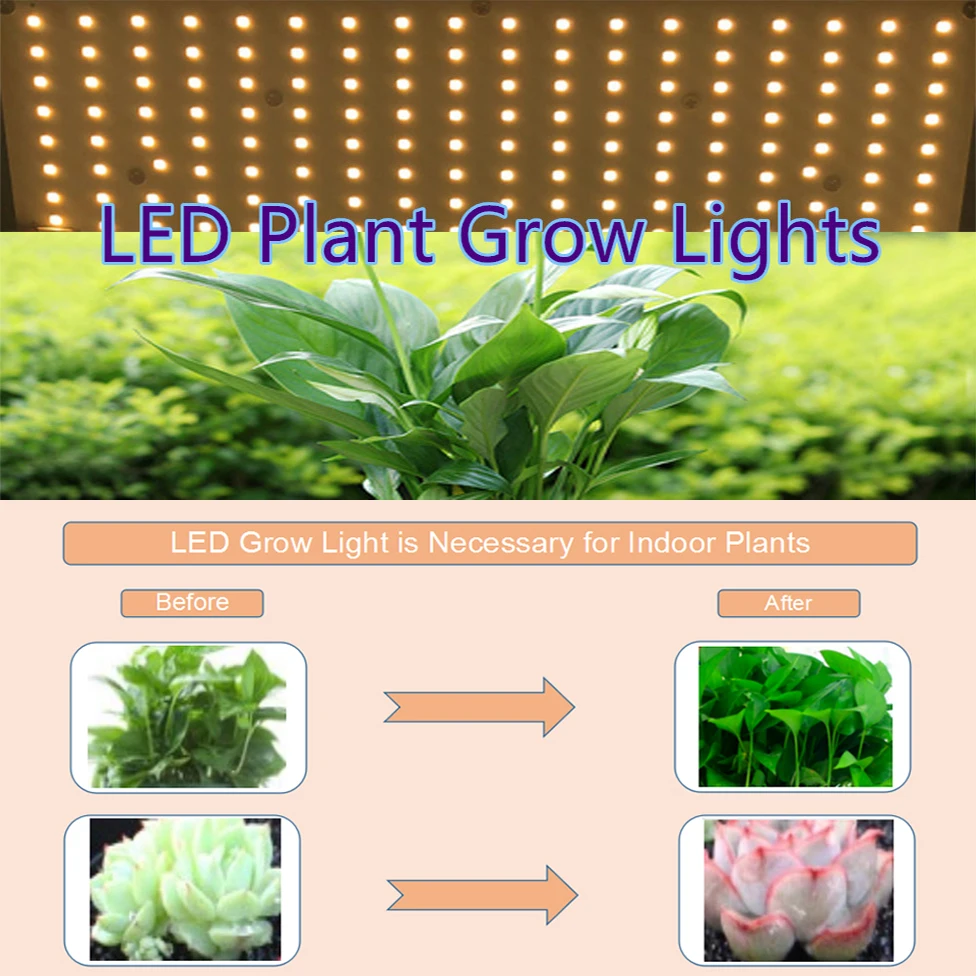 Full Spectrum Dimmable 120W 240W Hydroponics Plant Grow Light Kits Samsung Board LM301B SK V2 3500K for Greenhouse Indoor Plants