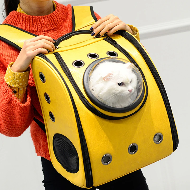 4093490818_335788119