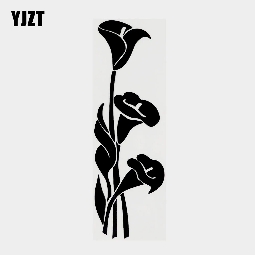 Lilies Clipart Black And White Cars