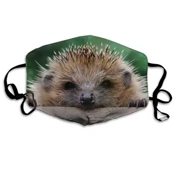 

Cute Animal Hedgehog Washable Reusable Mask, Cotton Anti Dust Half Face Mouth Mask For Kids Teens Men Women With Adjustable