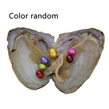 Вакуумная жемчужная ракушка Oyster с 6 жемчужинами внутри пресноводного жемчуга таинственный Сюрприз подарок для друзей